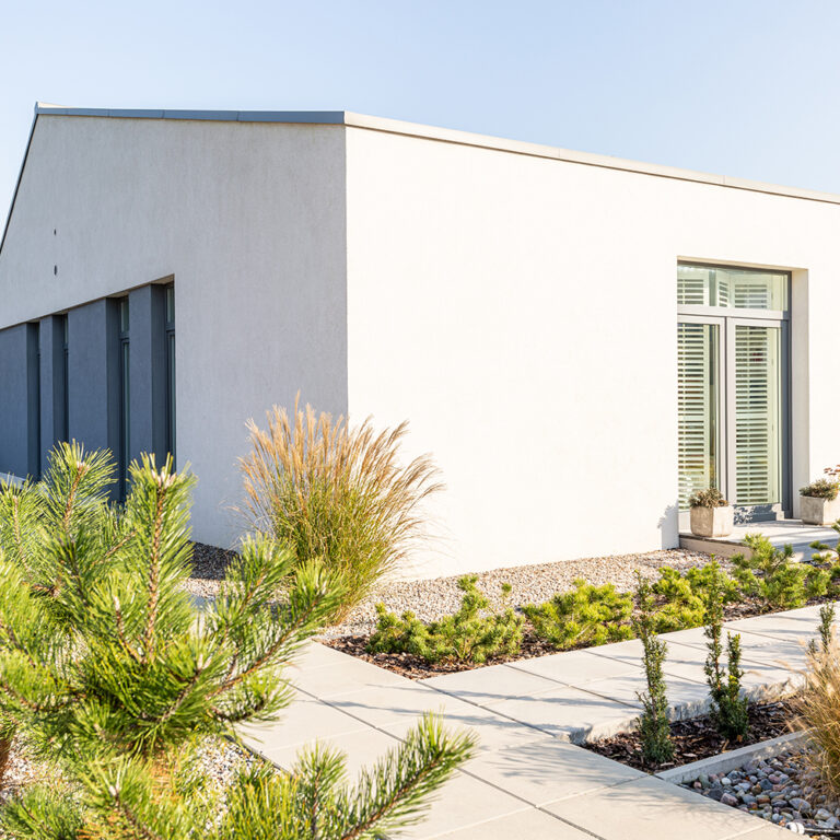 Conifers and shrubs in the yard of a modern house in the suburbs