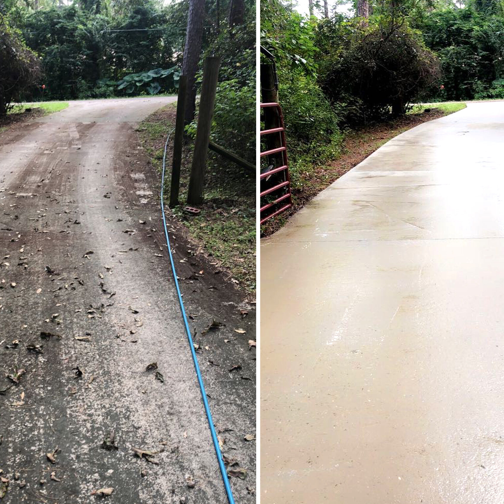 Concrete driveway before and after soft washing