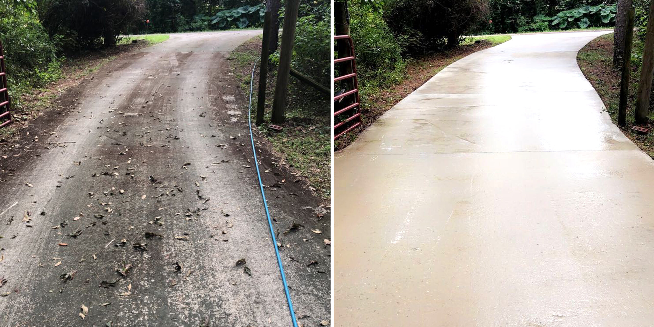 Concrete driveway before and after soft washing