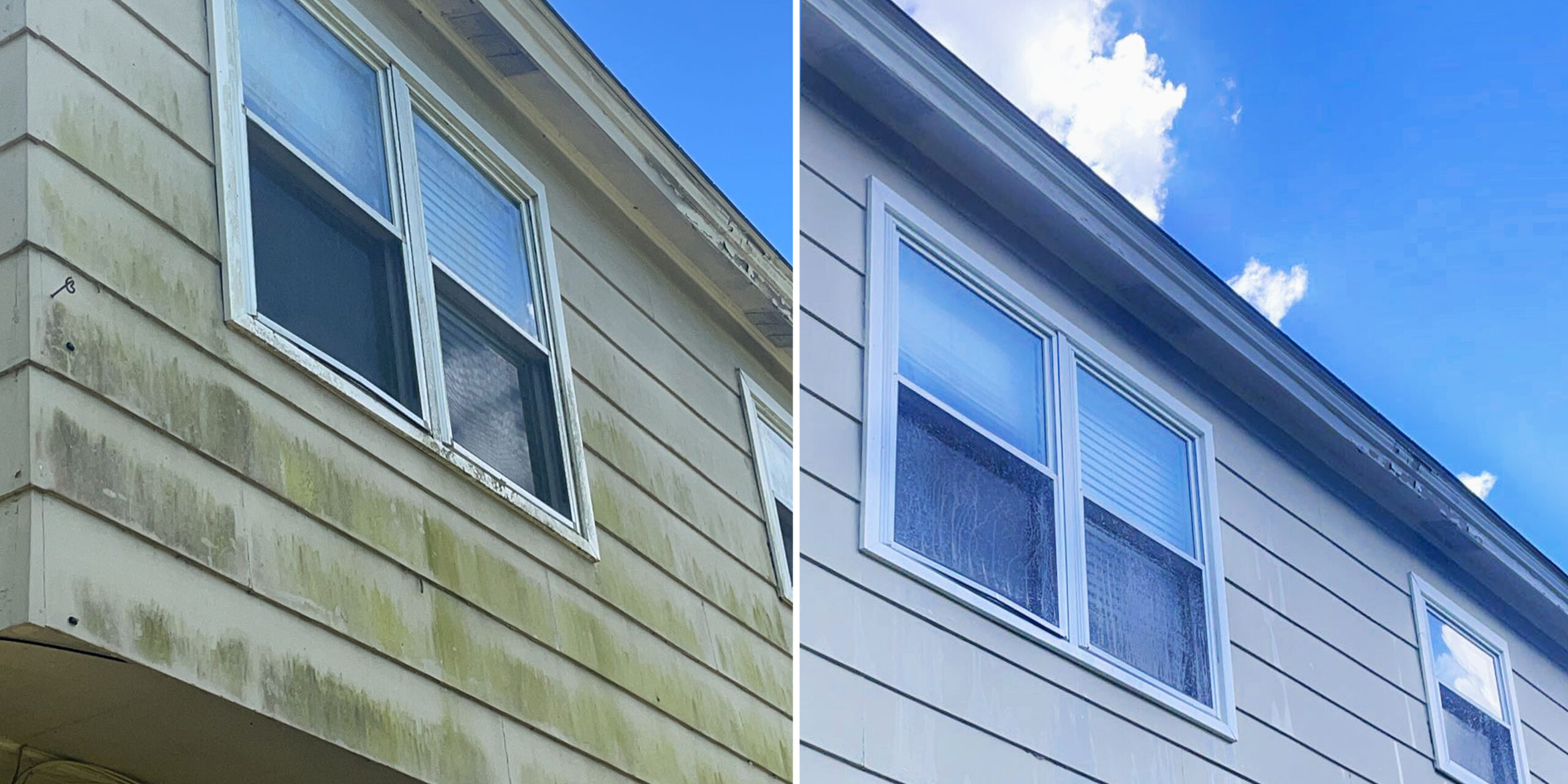 Showcase of house siding before and after soft washing
