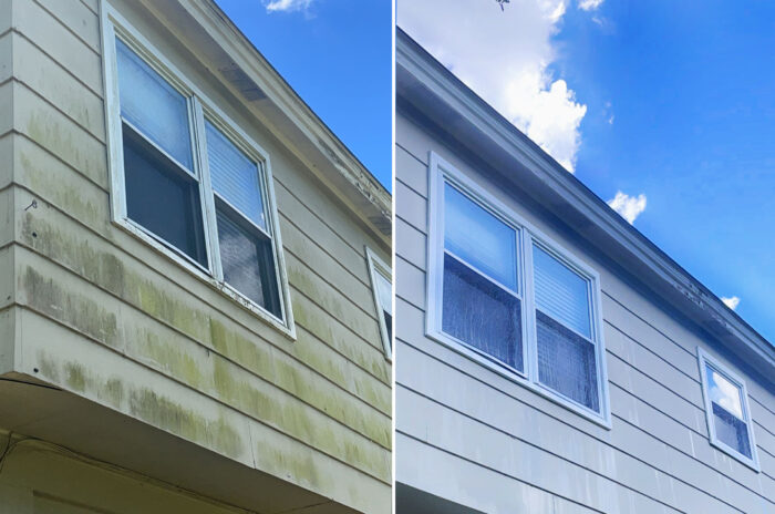 Showcase of house siding before and after soft washing