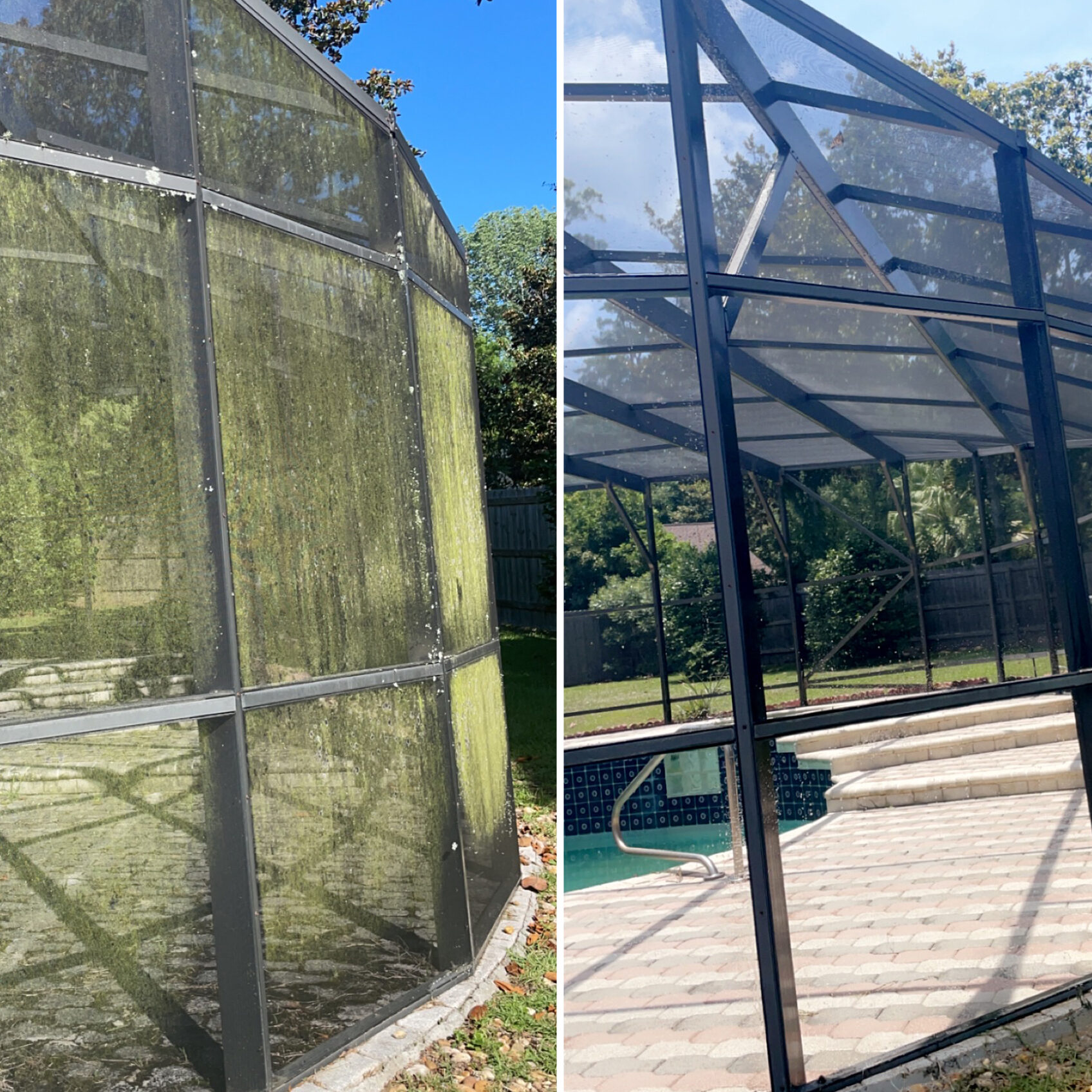 Pool Screen B & T Pressure Washing