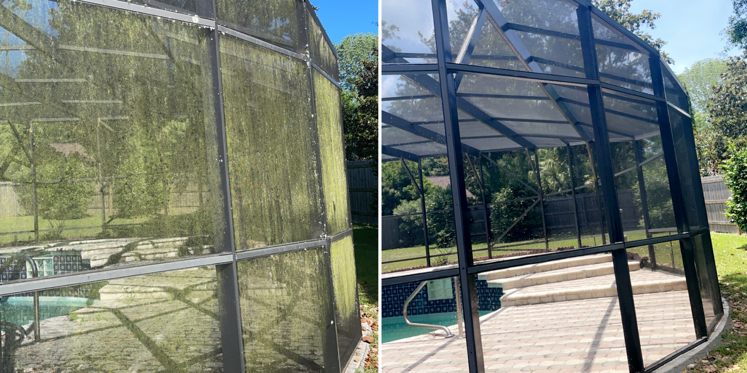 Pool enclosure before and after soft washing