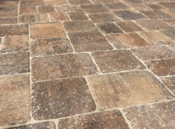 IMG_2676 Garrett (1)