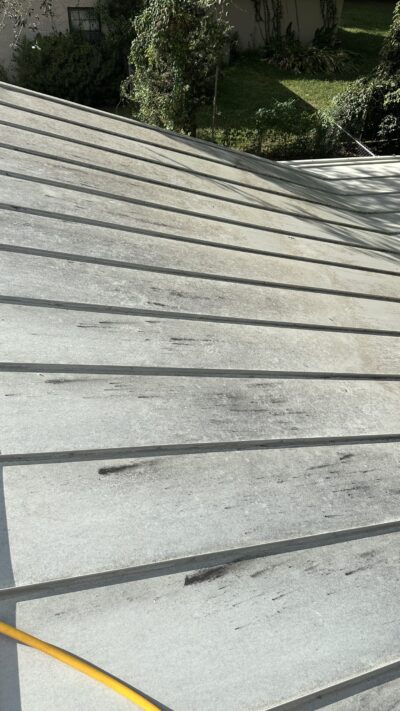 IMG_4156 Taylor Hildebrandt