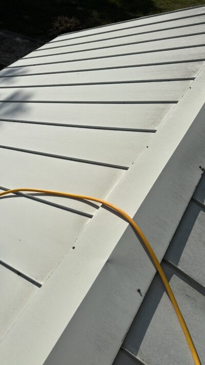 IMG_4160 Taylor Hildebrandt